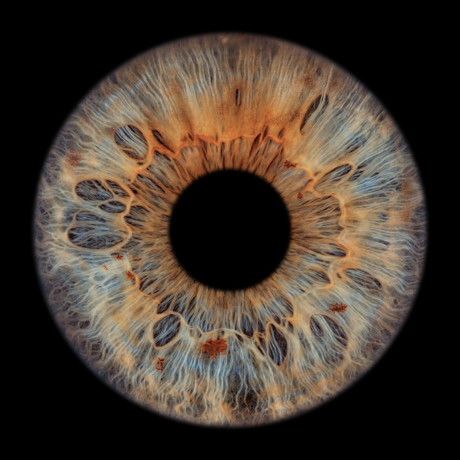 Uw irisfoto in Eindhoven: zo plant u uw bezoek